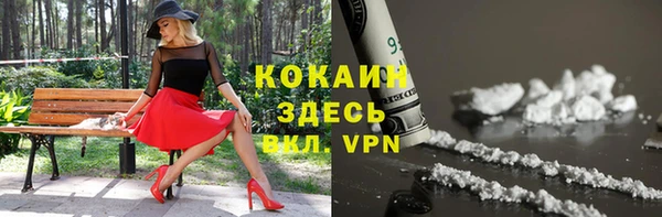 ПСИЛОЦИБИНОВЫЕ ГРИБЫ Каменногорск