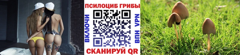 сколько стоит Евпатория Псилоцибиновые грибы мицелий